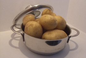 Kartoffel-2